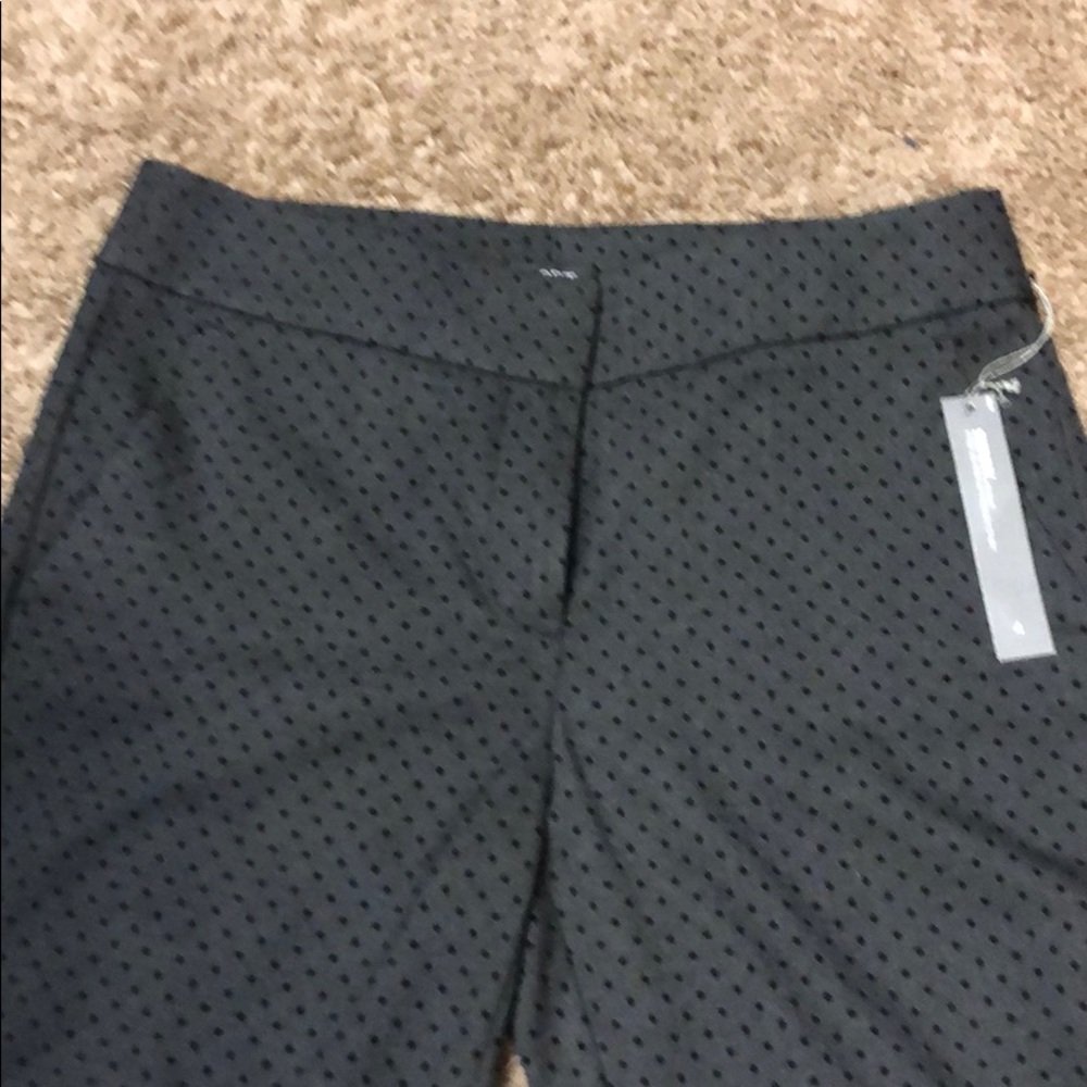 Loft casual pant